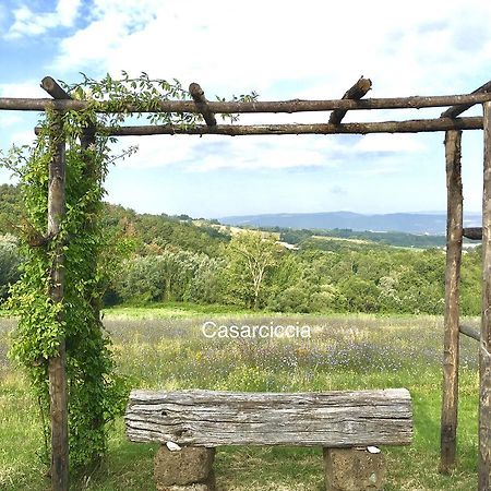 Casarciccia Guest House Todi Luaran gambar