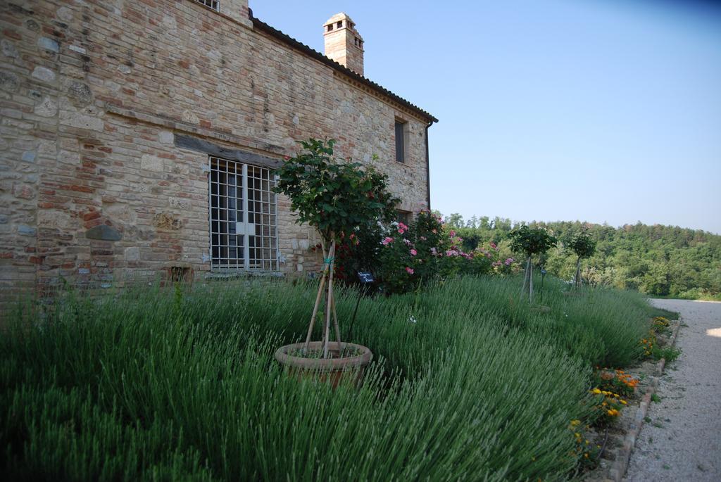 Casarciccia Guest House Todi Luaran gambar