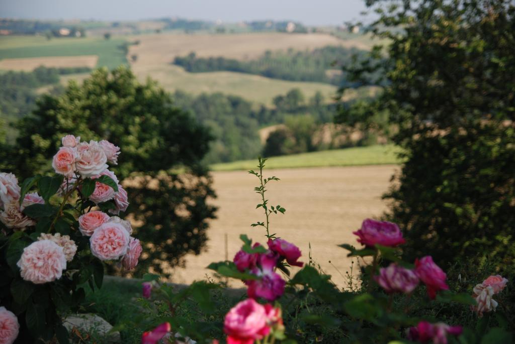 Casarciccia Guest House Todi Luaran gambar