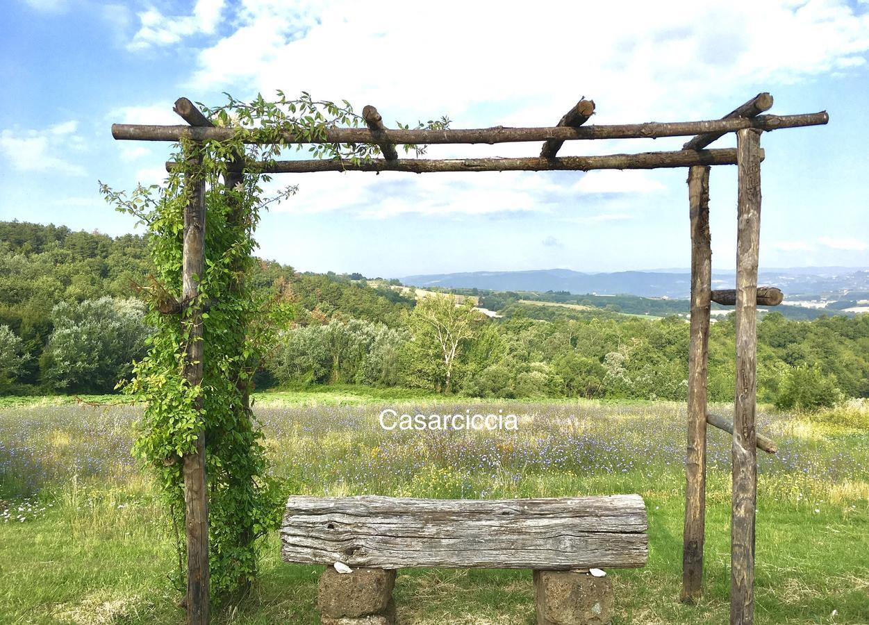 Casarciccia Guest House Todi Luaran gambar